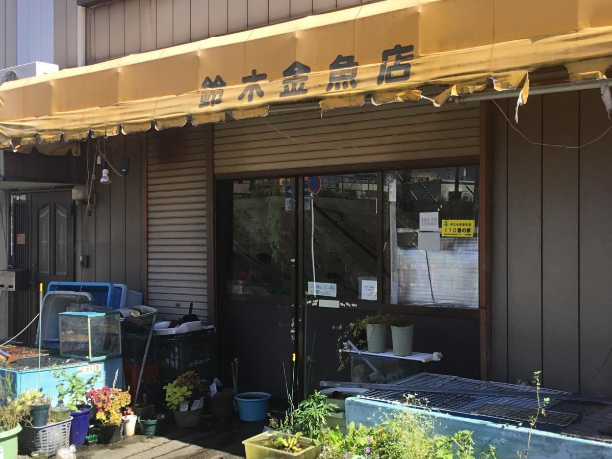 懐かしい金魚屋