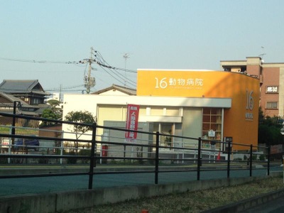 ドッグメディカル 16動物病院 福岡市西区拾六町