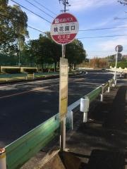 「桃花園口」バス停留所