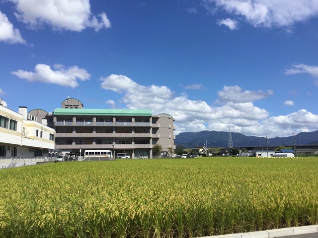 和光苑