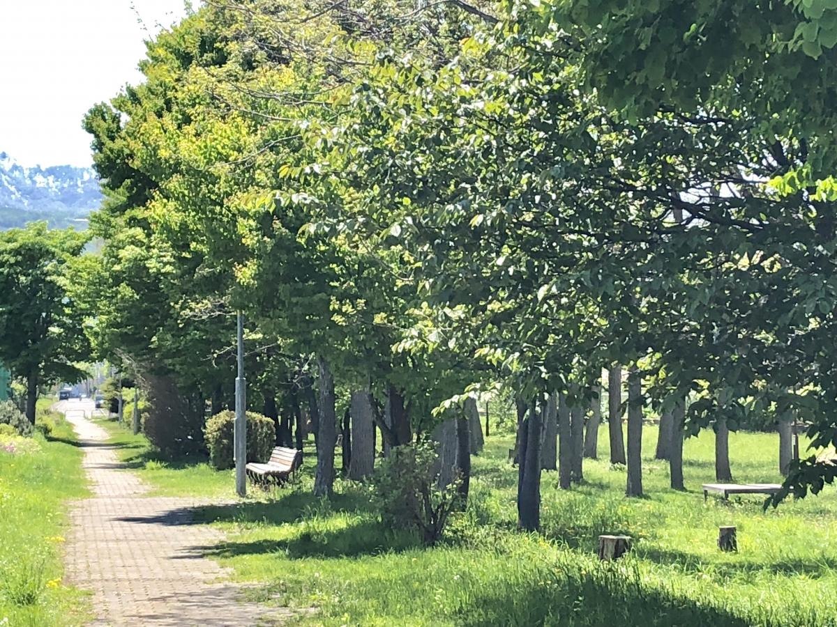 前田中央緑地