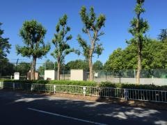 早川公園