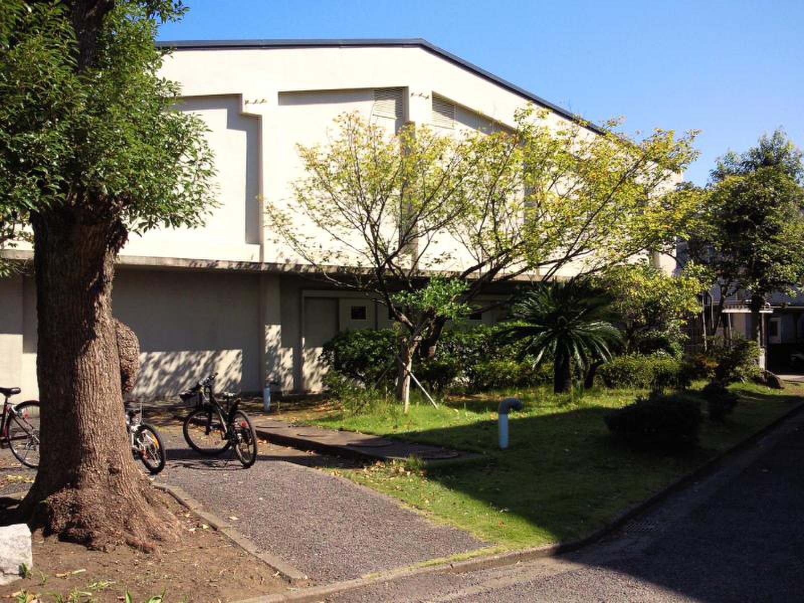 藤沢 市立 鵠 洋 小学校