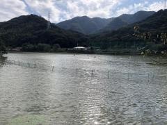 鞆の浦ゴルフセンター