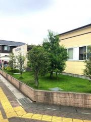 内田歯科医院
