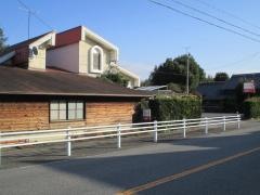 まこ