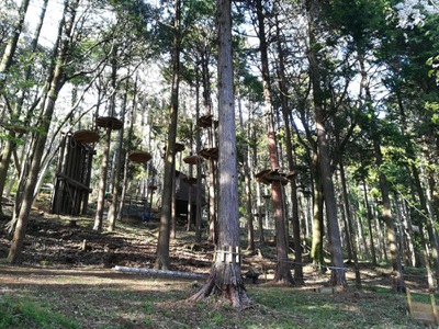 旅探 たびたん フォレストアドベンチャー 箱根 足柄下郡箱根町湯本