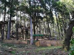 フォレストアドベンチャー・箱根