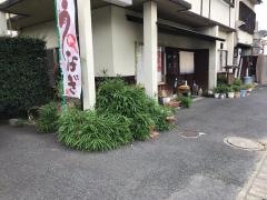 竹亭