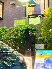 代官山矯正歯科