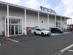 ヤマザワ薬品田子店