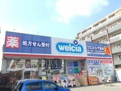 ウエルシア　富士見東みずほ台店