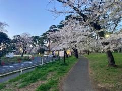 大宮公園