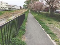卸町緑地公園
