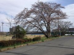 卸町緑地公園