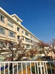 富士見台小学校