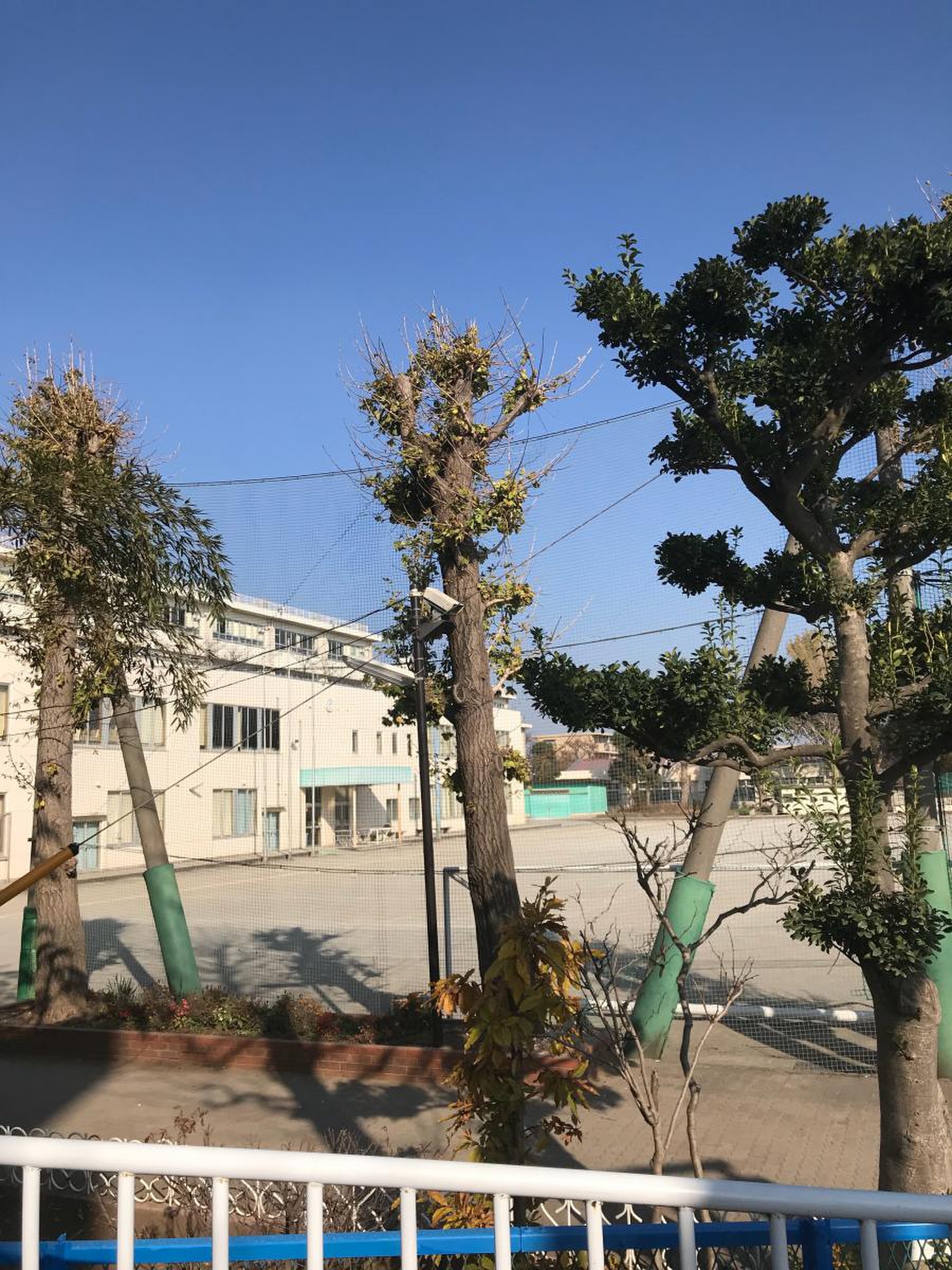 川崎 市立 富士見 台 小学校