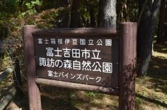 諏訪の森自然公園富士パインズパーク