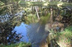 諏訪の森自然公園富士パインズパーク