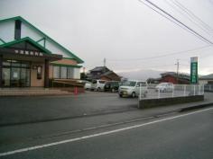 今里整形外科