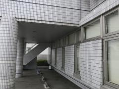 横田歯科医院