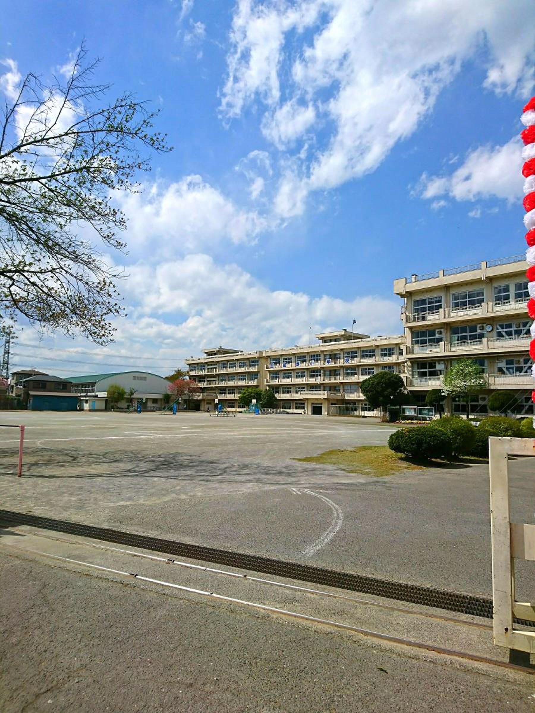 川越 市立 武蔵野 小学校