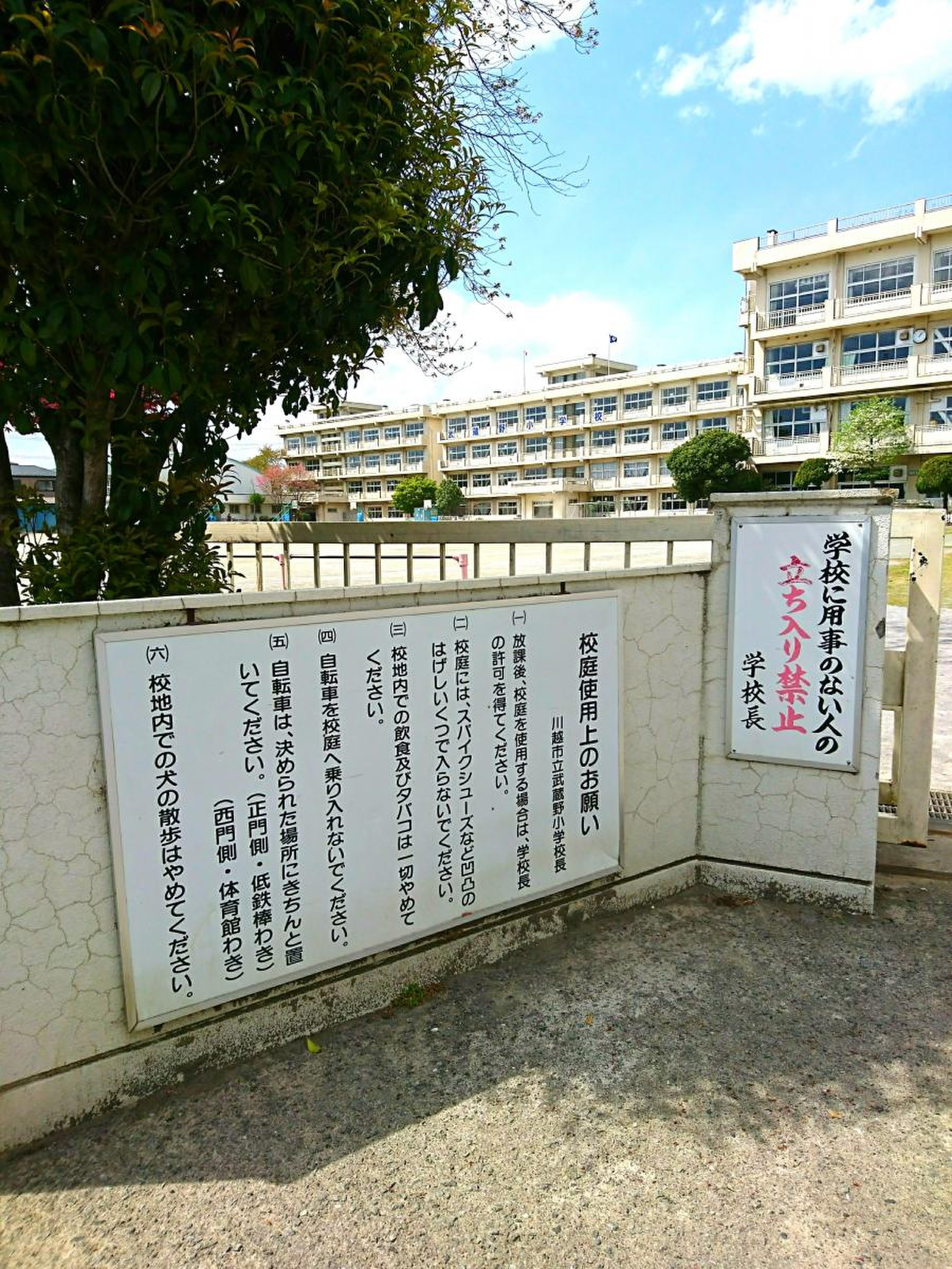 川越 市立 武蔵野 小学校