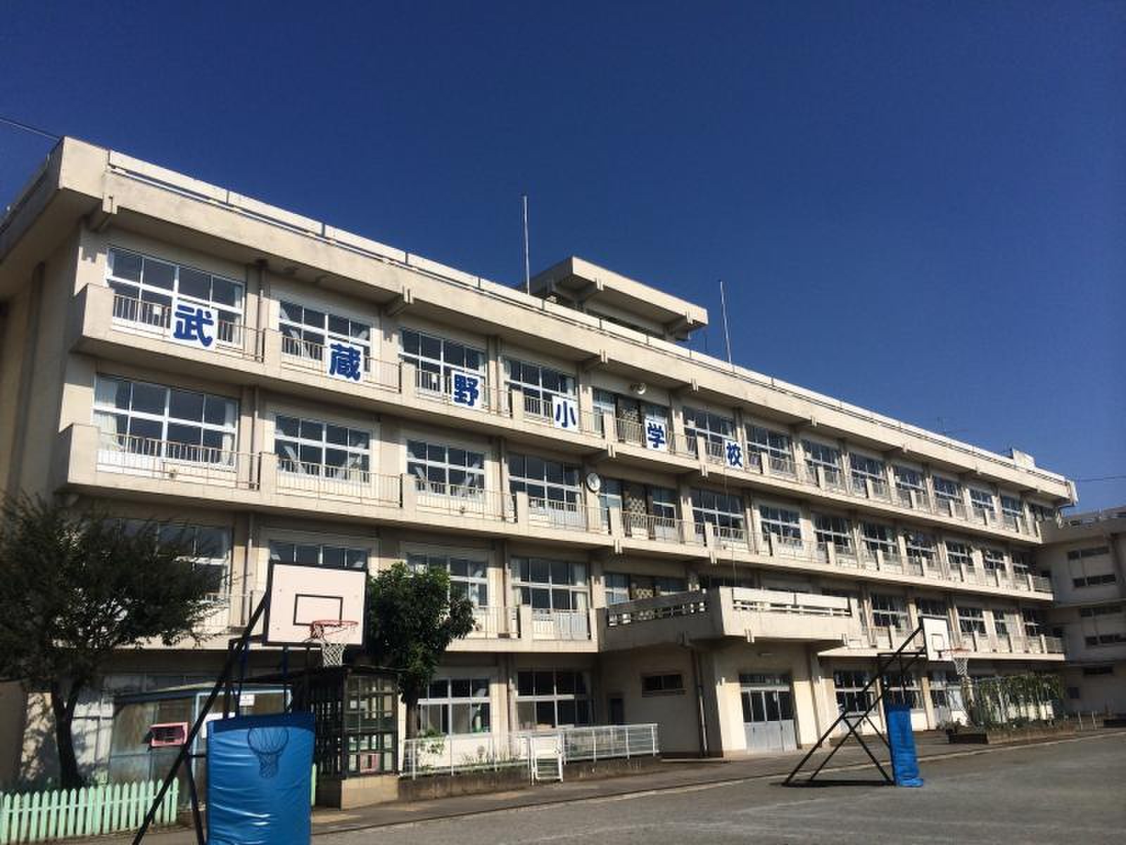 川越 市立 武蔵野 小学校