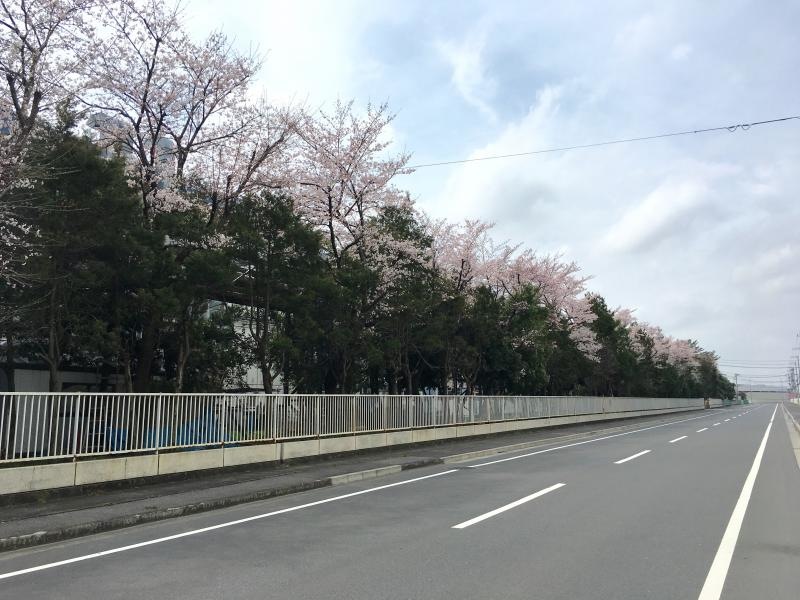 緑地外観。