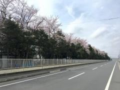 清久町一号緑地