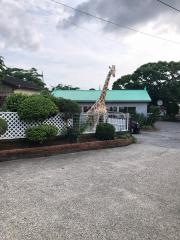 大佐和幼稚園