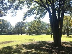 新小岩公園