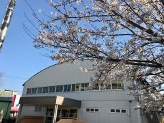 二見小学校