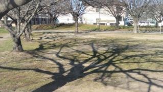 尾上公園