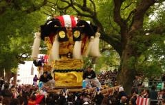 新居浜太鼓祭り