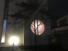 鮨処徳