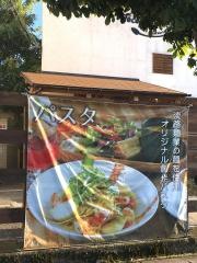 ポコポコペペ