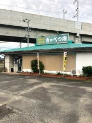 きゃべつ畑