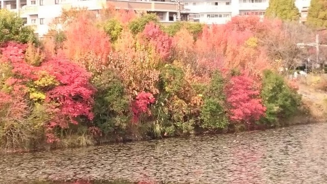 施設写真3
