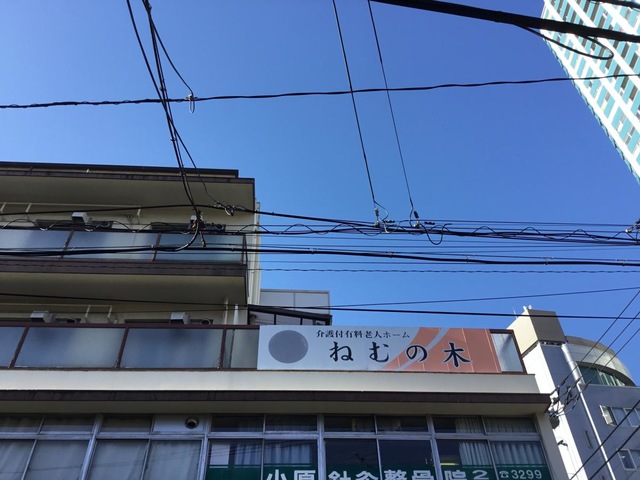 ねむの木