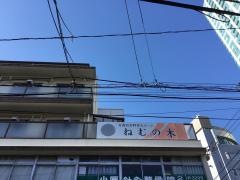 ねむの木