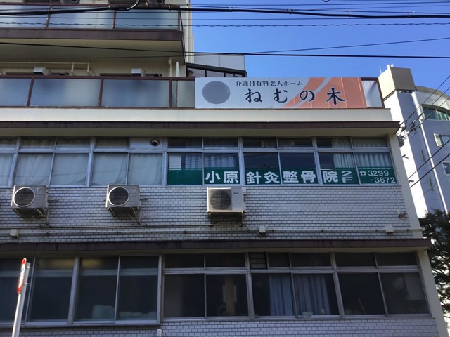 ねむの木