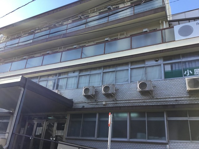 ねむの木