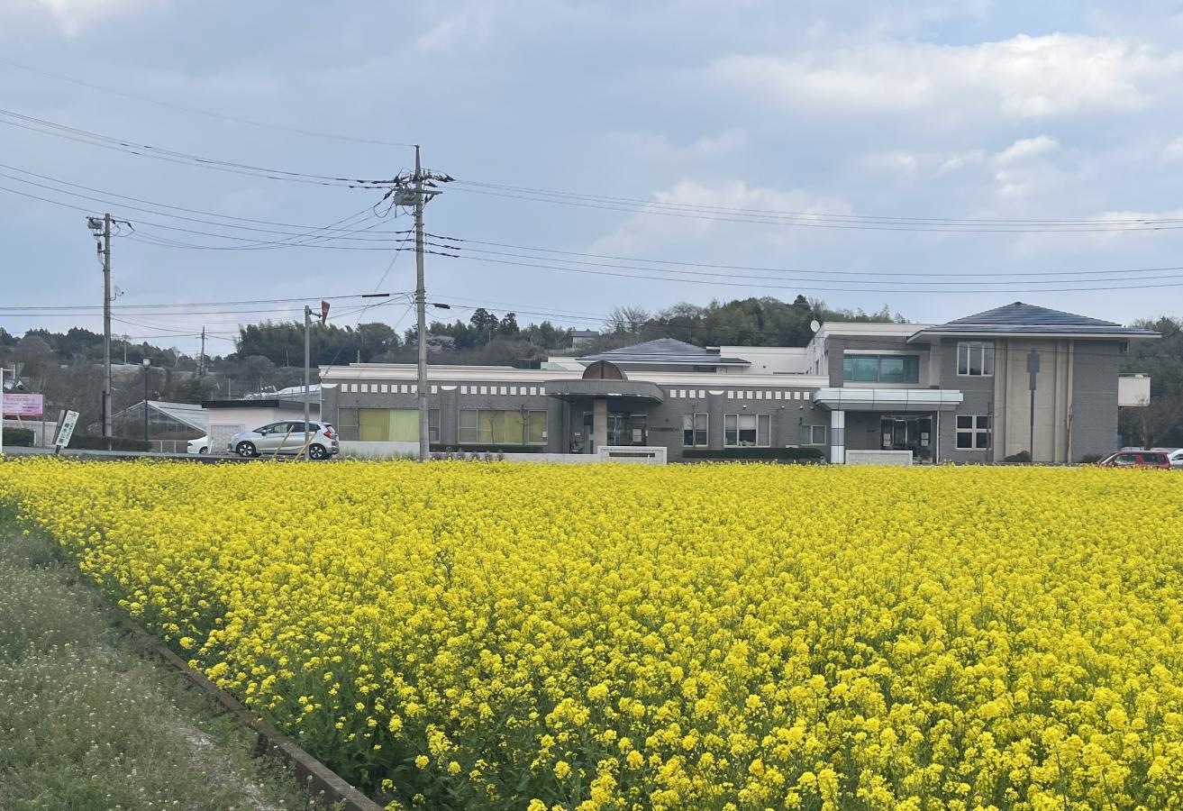 フローラ