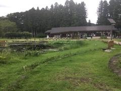 日光だいや川公園