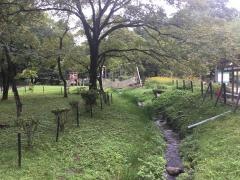 日光だいや川公園