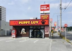 パピーラブ