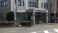 小儀動物病院