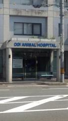 小儀動物病院