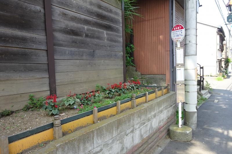 「坂本坂下」バス停留所